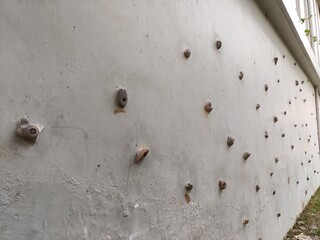 Climbing wall in gym, sports and exercise, life style