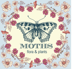 Butterflies chamomile moth insect fly Greeting invitation card wedding Beautiful frame label Set Flowers Poppy Poppies realistic Engraving drawing Freehand wreath. Vector victorian style Illustration