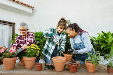 Happy multiracial women gardening together at home