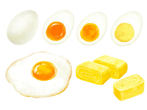 ゆで卵　卵焼き　目玉焼き　イラストセット