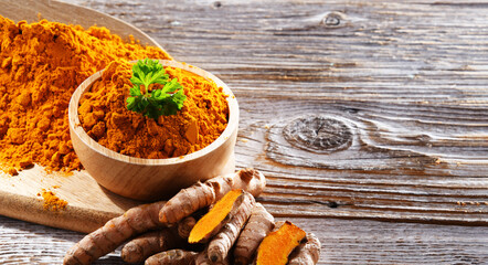 Composition with a bowl of ground turmeric and its fresh rhizome