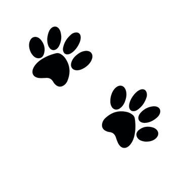 Silhouette of a cat's paw. Paw prints. A dog or cat puppy icon. A trace of a pet.