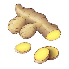 Ginger root isolated on white background. Realistic digital illustration.