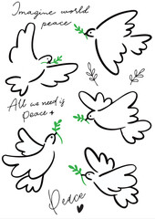 White dove or white pigeon carrying olive branch. Symbol of peace. 