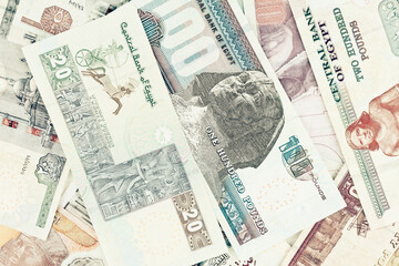 Egyptian pounds - banknotes as a background - obrazy, fototapety, plakaty