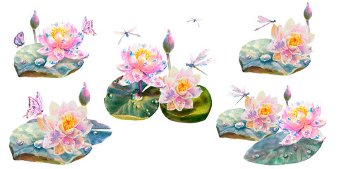 Set of Botanical watercolor illustrations of white and pink water lilies with butterfly, dragonflies and dew drops isolated on white background
