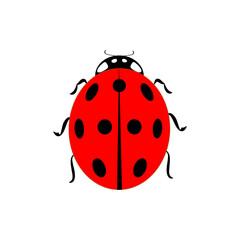 Red ladybird isolated on white background sign