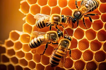 Fotobehang Close up view of the working bees on honey cells © DarkKnight