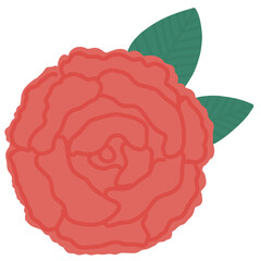 rose