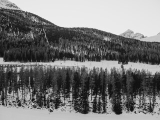 Pontresina, Switzerland. Swiss Alps in winter