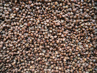 Autumn harvest of grain grain, full screen of whole grains