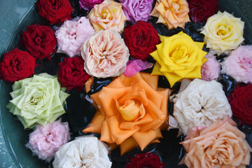 かのやバラ園の薔薇の花手水
