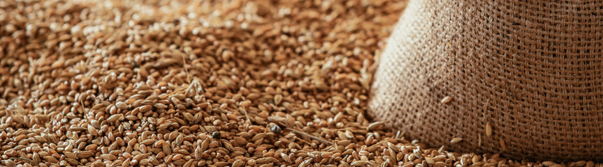 Harvested wheat grain in a linen sack Horizontal images