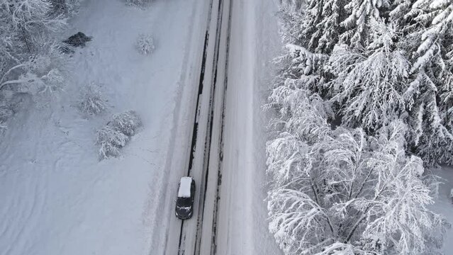 Aerial view from drone on car driving through winter snow-covered forest