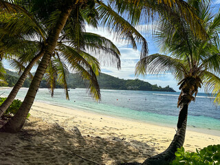 under palm trees on sunny day on tropical beach, Seychelles islands