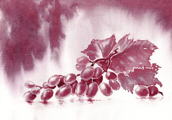Bunch of grapes on the surface with shadow. Hand drawn art painting with red dry wine on paper texture
