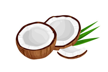 Coconut and leaves isolated on white background. 