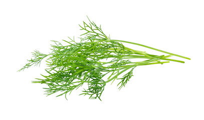 Fresh dill isolated on transparent png - Powered by Adobe
