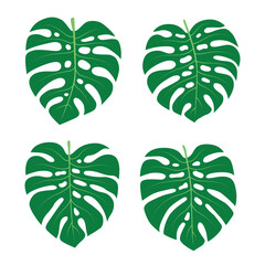 Monstera Leaf set, green elements