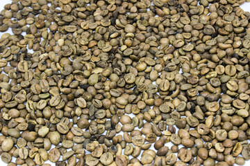 portrait of raw coffee beans