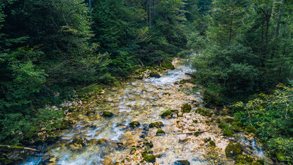 Slovenia alps forest and mountain river from above