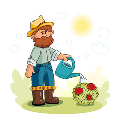 A gardener is watering a rose bush from a watering can. Flower care illustration. The man is working in the garden. Plant care in summer. Care of the gardener for flowering plants. Beautiful roses 