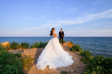 Beautiful bride in wedding dress enjoying the landscape of sea while groom in black suit looking at...