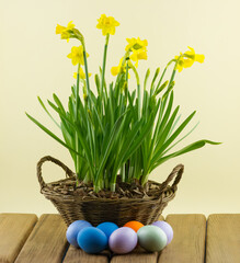 Easter concept. Colored Easter eggs with bunch of Narcissuses flowers on wooden background