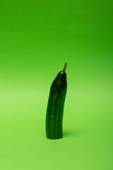 Trimmed green cucumber on a green background