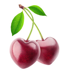 Two heart shaped sweet cherries on one stem cut out