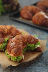Freshly baked croissants with salmon and salad on the table	