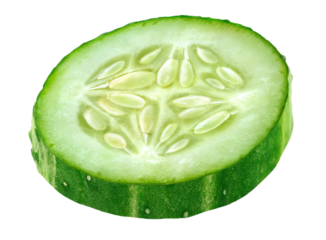 Isolated piece of cucumber
