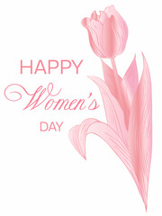 PINK tulip, Happy Women's Day concept. For printing, backgrounds, postcards, invitations, greetings, etc