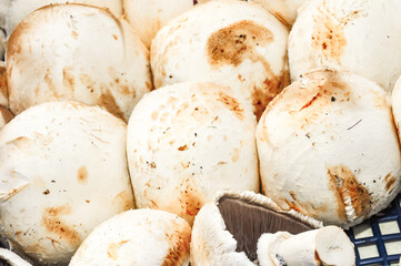 top view, close up of, bruised, white cap mushrooms, from mishandling, at Sablet farmers market, France