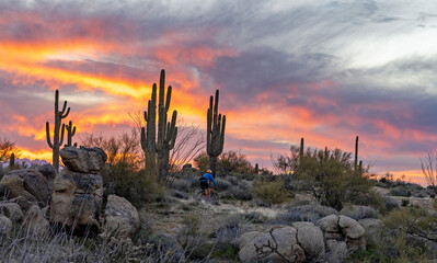 A Mountain Biker On A Desert Trail At Sunrise In Arizona