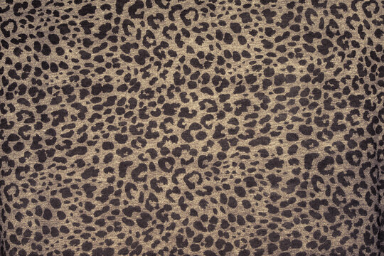 Leopard print seamless image. Animal print fashion Fabric. Animal fur clothes pattern. textured wild animal Pattern .