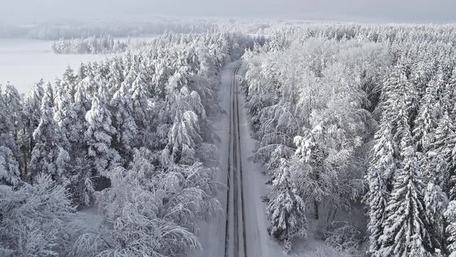 The road in forest after snowstorm. Trees with droopy branches near the road. Plateliai, Lithuania.