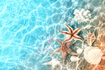 Fototapeta na wymiar Starfish and coral on the summer beach in sea water. Summer background.