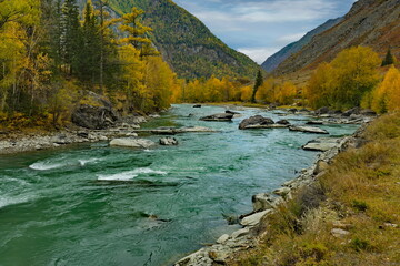 Russia. The South of Western Siberia, Altai Mountains. Only in the middle of autumn, when the mountain glaciers stop melting, the water in the Chuya River becomes transparent and rich turquoise color.