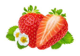 Strawberry with leaves and flowers isolated on white background