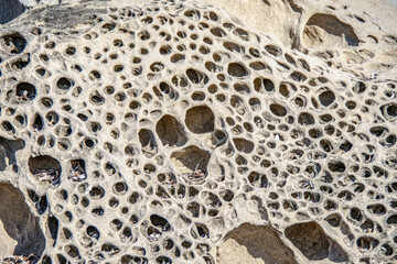 Natural limestone formation in the rock. locality Tresino, Castellabate, Cilento Coast, Italy.