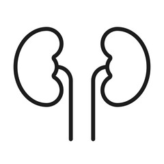 Human kidneys icon, isolated on white background. Vector, lined style symbol.