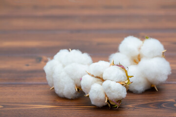 Cotton close-up. The buds of the cotton plant are collected on a wooden background. Environmentally friendly raw materials.