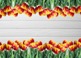 Beautiful tulips on wooden background  with copyspace for message.  Mother's Day background.