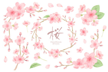 桜の水彩風フレームイラストセット　主線なし、ベクター