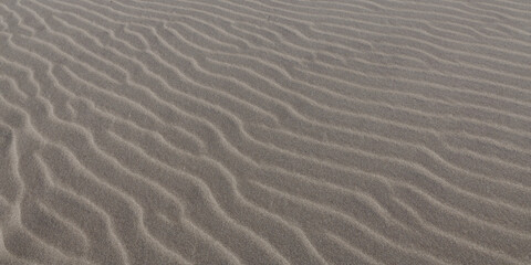 Fototapeta na wymiar sable 