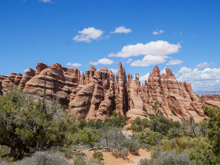 Red rocks at arches national park