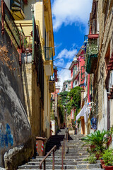 Fototapeta na wymiar Naples, Italy. View of a glimpse of the characteristic houses of the Steps del Petraio that lead to the Hill of San Martino, Vomero district. Vertical image. August 24, 2022.