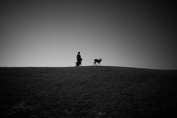 Silhouette of child and two deer on a hill - 570964986