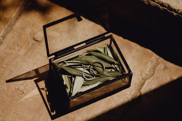 Les alliances dans leur boîte remplie de feuilles d'olivier